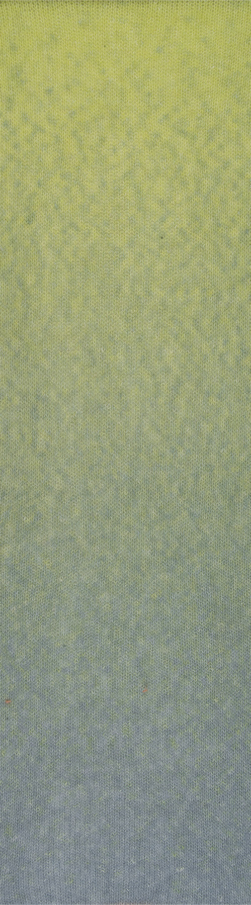 CASHSILK COTTON DEGRADE'